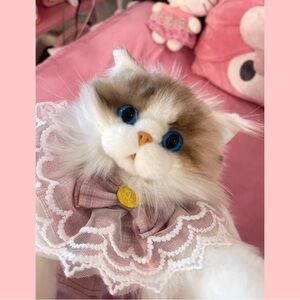 Ragdoll Cat Weighted backpack